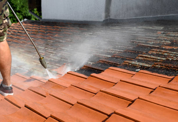 Best Roof Power Washing Services  in East Quogue, NY