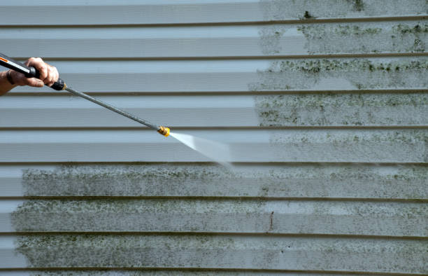 Best Roof Pressure Washing  in East Quogue, NY