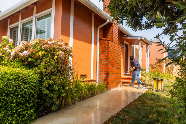 Best Sidewalk Pressure Washing  in East Quogue, NY